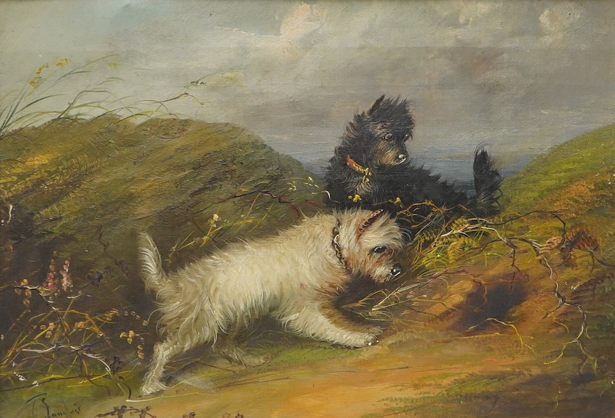 J. Langlois (1855-1904), Terriers rabbiting, signed, oil on canvas, gilt framed, 23 x 34cm